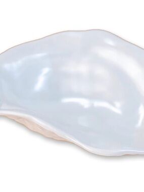 The Royal Standard Oyster Shaped Dish Pearlized White Dolomite Catchall
